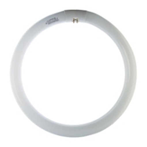PEZZI 12-AIRAM LAMPADE LAMPADINE NEON CIRCOLARI 40W D.CM40