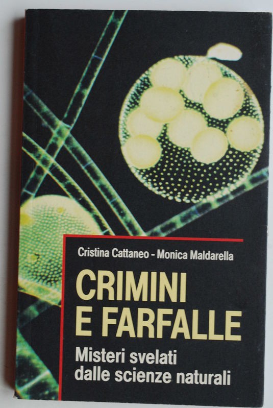 Crimini e farfalle