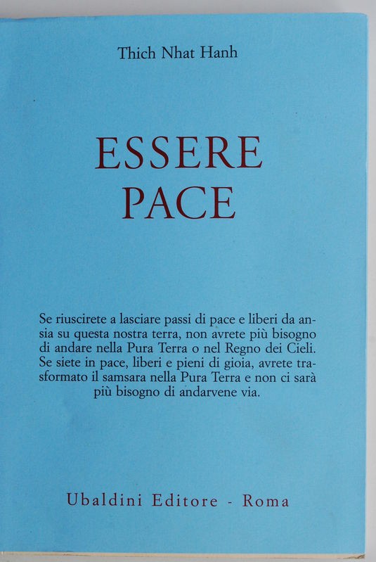 Essere pace con Il cuore della comprensione e La meditazione camminata