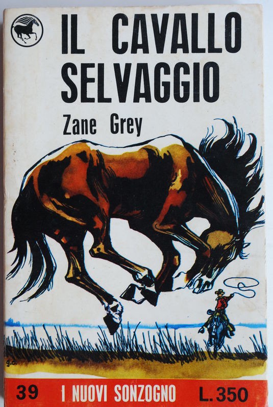 Il cavallo selvaggio