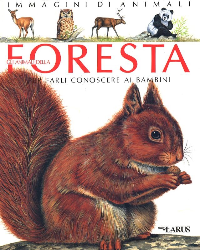 ANIMALI DELLA FORESTA GLI