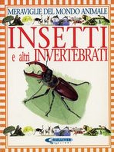 INSETTI E ALTRI INVERTEBRATI
