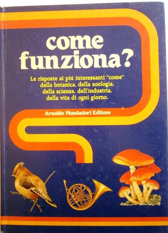 Come funziona?