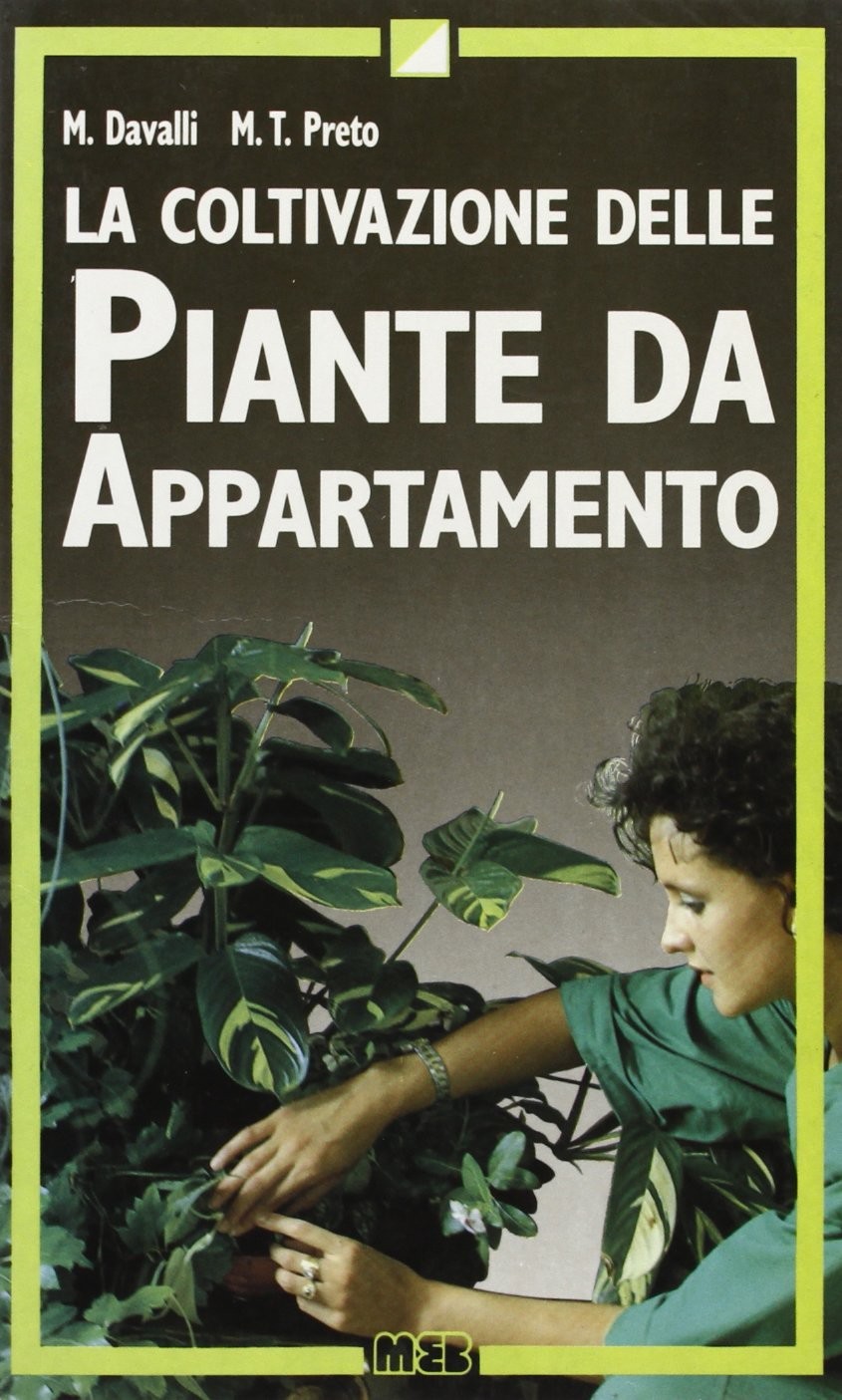 COLTIVAZIONE PIANTE DA APPARTAMENTO