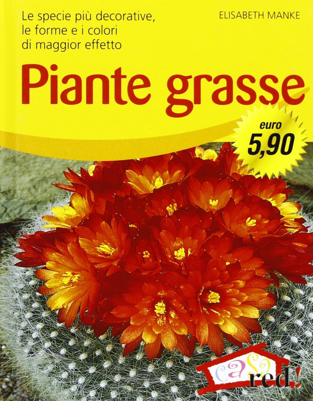 PIANTE GRASSE