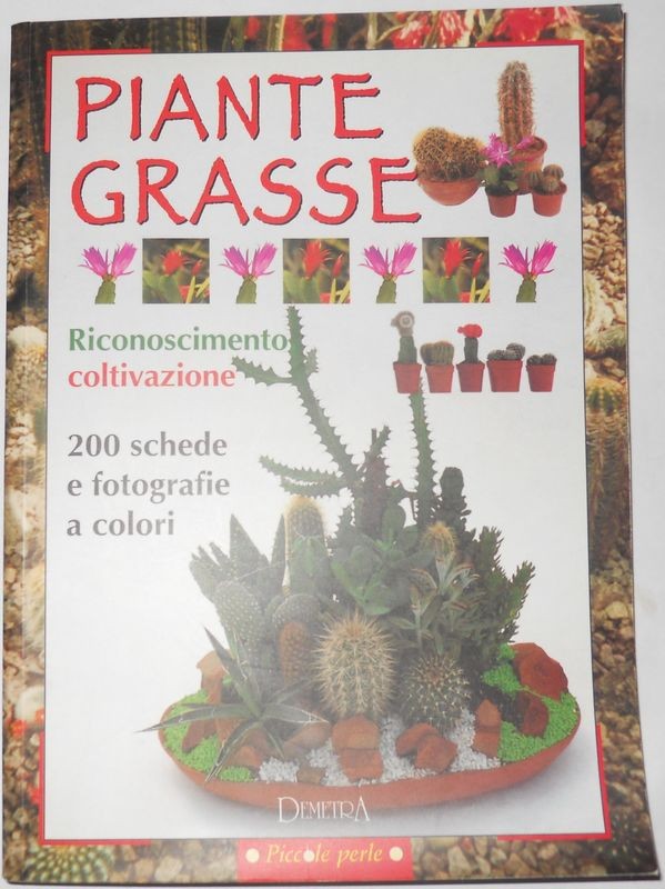 Piante Grasse: riconoscimento, coltivazione