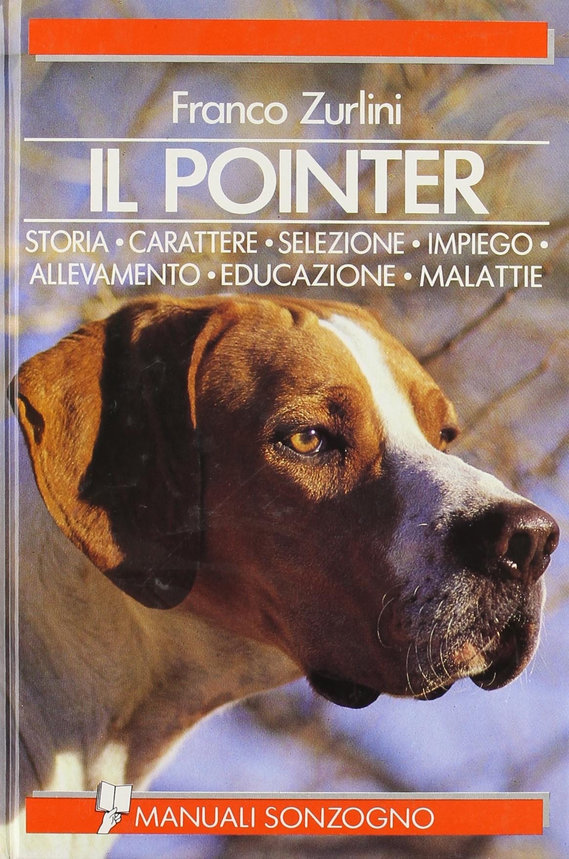 POINTER IL