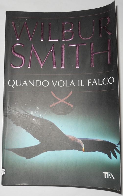 Quando vola il falco