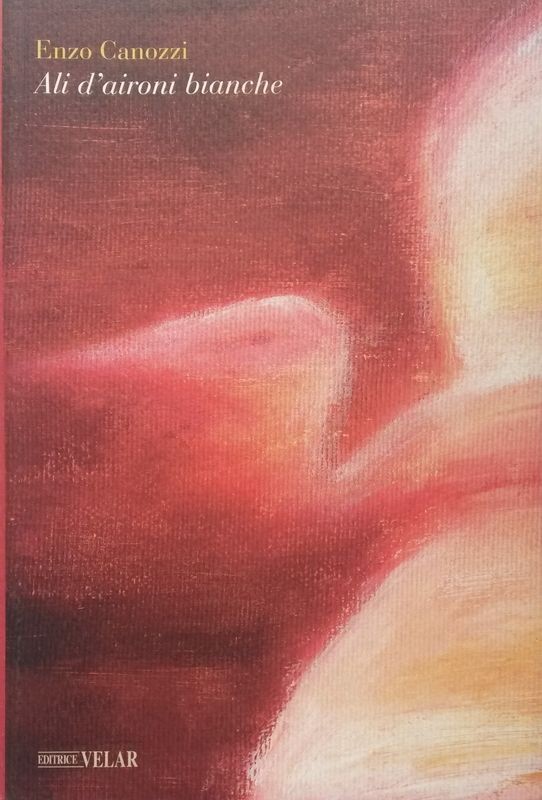 Ali d'aironi bianche,Enzo Canozzi,Velar