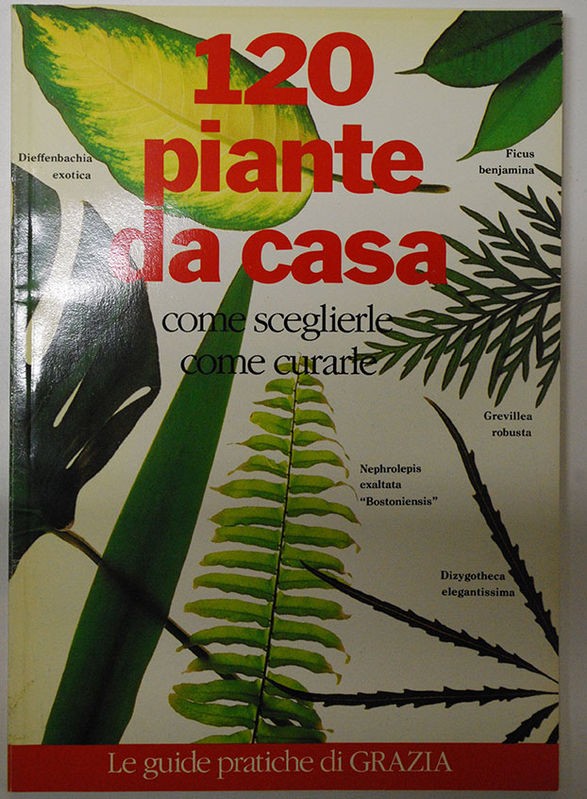 120 piante da casa,AA.VV,Mondadori