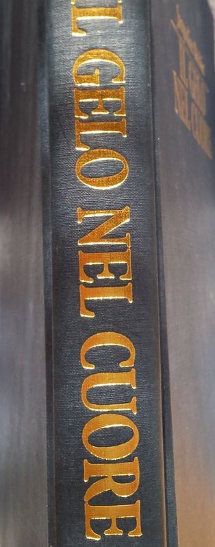 Il gelo nel cuore,Jacqueline Briskin,Cartiere Del Garda