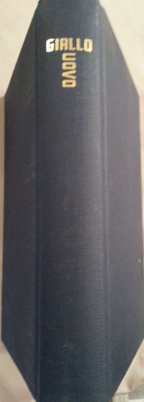 Giallo uovo,Nicoletta Grill,Mondolibri