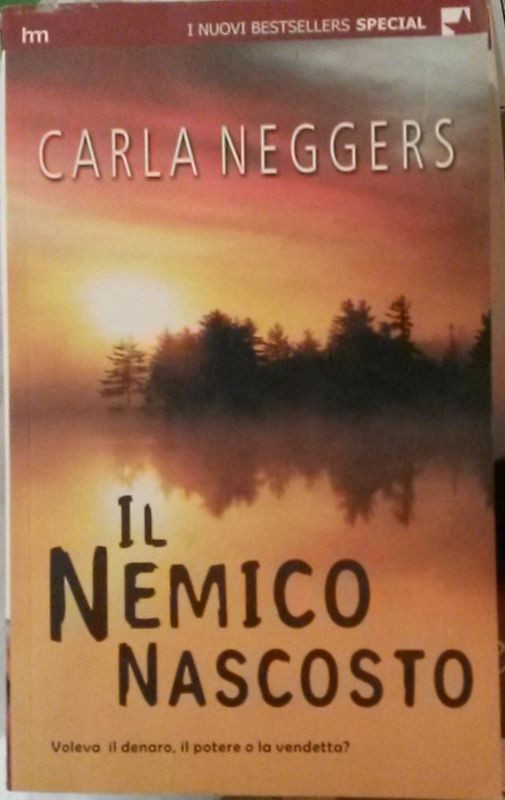 IL NEMICO NASCOSTO,Carla Neggers,Harlequin Mondadori