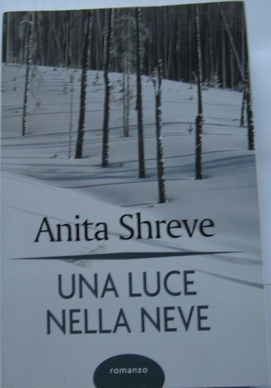 Una luce nella neve,Anita Shreve,Mondolibri S.p.A. su licenza