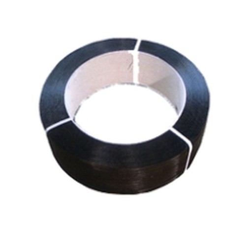 REGGIA PLASTICA FORO INTERNO CM. 6 12X0,5