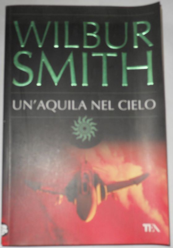 Un'aquila nel cielo