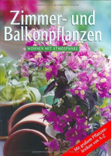 PIANTE DA BALCONE E APPARTAMENTO