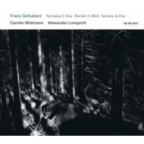 Sonata per violino D 574, Rondò D 895, Fantasia D 943  SCHUBERT FRANZ