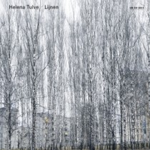 Lijnen  TULVE HELENA
