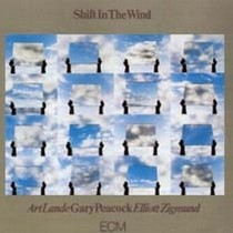 Shift in the Wind  PEACOCK GARY