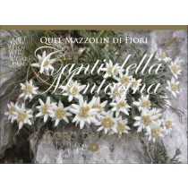 Quel Mazzolin di Fiori - Canti della Montagna - Coro della S.A.T.  CORO DELLA S.A.T.  