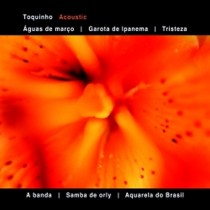Acoustic  TOQUINHO