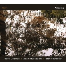 Amazing  LIEBMAN DAVE