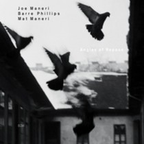 Angles of Repose  MANERI JOE