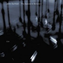 The Spaces In Between  SURMAN JOHN