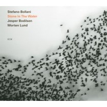Stone in the Water  BOLLANI STEFANO