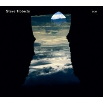 Natural Causes  TIBBETTS STEVE