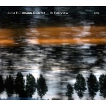 In Full View  JULIA HÜLSMANN QUARTET  
