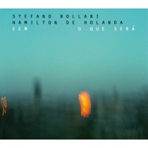 O que será  BOLLANI STEFANO & DE HOLANDA HAMILTON