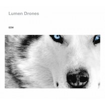 Lumen Drones  OKLAND N., STEINAR LIE P., HAALAND O.