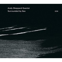 Surrounded by Sea  SHEPPARD ANDY