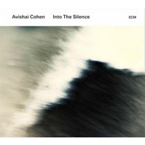 Into The Silence  COHEN AVISHAI