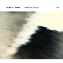 Into The Silence  COHEN AVISHAI