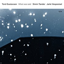 What Was Said  GUSTAVSEN TORD