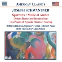 Musica da camera  SCHWANTER JOSEPH