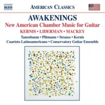 2 Awakenings and a Double Lullaby  KERNIS AARON JAY