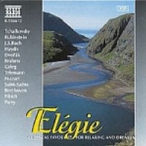 Elegie - Brani di CIAIKOVSKI, RUBINSTEIN, BACH, HAYDN, DVORAK, BRAHMS, GRIEG, TE  VARI  