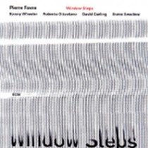 Window Steps  FAVRE PIERRE