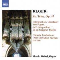 Opere per organo (integrale) Vol.6  REGER MAX