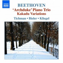 Trii per archi e pianoforte, Vol.5  BEETHOVEN LUDWIG VAN