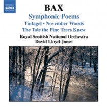 Poemi sinfonici  BAX ARNOLD