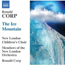 The Ice Mountain  CORP RONALD