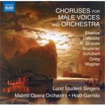 Cori per voci maschili e orchestra  HOLD-GARRIDO ALBERTO Dir  