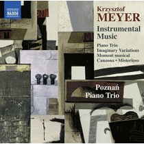 Musica strumentale - Instrumental Music  MEYER KRZYSZTOF
