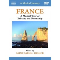 Francia: tour musicale di Bretagna e Normandia - Sinfonia n.3 per organo  SAINT-SAËNS CAMILLE