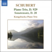 Trio n.2 D 929 op.100, Sonatensatz D 28  SCHUBERT FRANZ